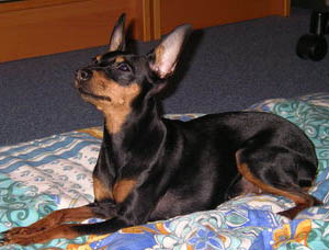 Jeanny
