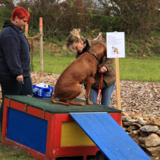 Doktorspiel 21 09 08 015