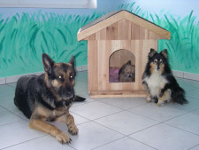 Hundepension