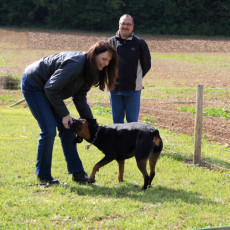 Korbspiel 21 09 08 002