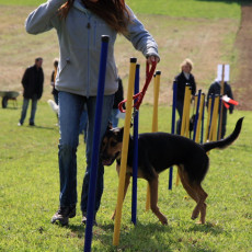 20m Slalom 21 09 08 008