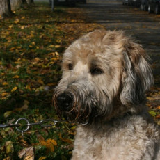 2008 10 18 Teamtest klein 0007