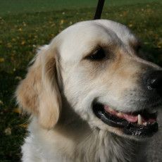 2008 10 18 Teamtest klein 0017