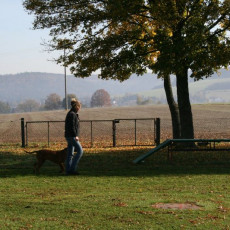 2008 10 18 Teamtest klein 0020