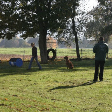 2008 10 18 Teamtest klein 0021