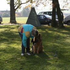 2008 10 18 Teamtest klein 0030