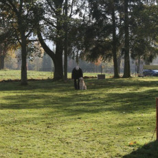 2008 10 18 Teamtest klein 0034