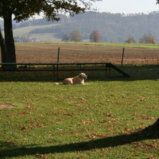 2008 10 18 Teamtest klein 0041