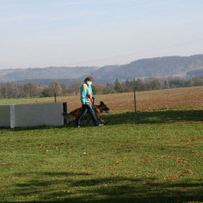 2008 10 18 Teamtest klein 0047