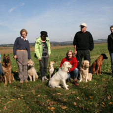 2008 10 18 Teamtest klein 0100