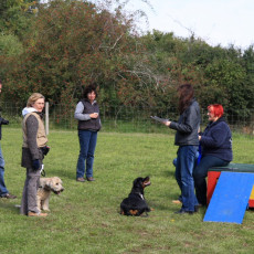 Jogis HuSchu Sommerfest 08 098