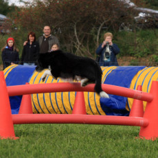 Gruppe2 21.09.2008 14 28 47