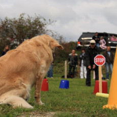 Gruppe3 21.09.2008 14 53 15