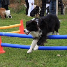 Gruppe3 21.09.2008 14 58 19