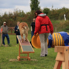 Gruppe3 21.09.2008 15 00 07