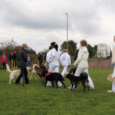 Gruppe4 Quadrille 21 09 08 002 21.09.2008 15 03 47