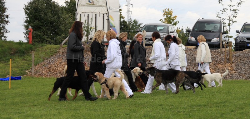 Gruppe4 Quadrille 21 09 08 002 21.09.2008 15 04 13