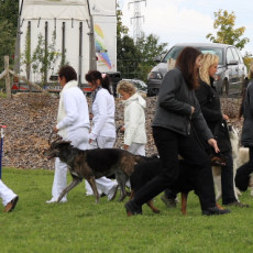 Gruppe4 Quadrille 21 09 08 002 21.09.2008 15 04 15