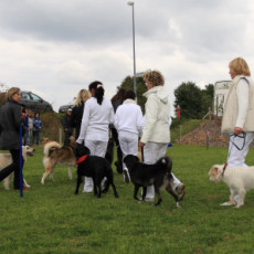 Gruppe4 Quadrille 21 09 08 002 21.09.2008 15 04 36