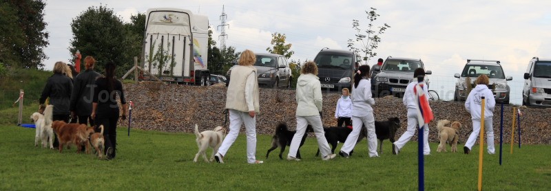 Gruppe4 Quadrille 21 09 08 002 21.09.2008 15 04 45