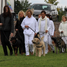 Gruppe4 Quadrille 21 09 08 002 21.09.2008 15 04 58