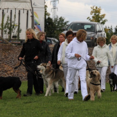 Gruppe4 Quadrille 21 09 08 002 21.09.2008 15 05 00