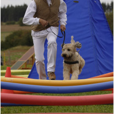 2008 SF Dittus 028 0