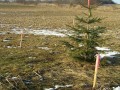 2006 02 03 Abstecken der Geb  ude012i