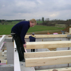 Balkendecke EG0015