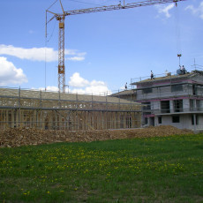 Halle gestellt0010