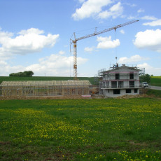 Halle gestellt0006