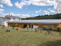 Jogis Hundeschule 020