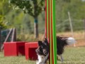 Jogis Hundeschule 026