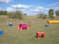 Jogis Hundeschule 036