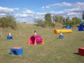 Jogis Hundeschule 040