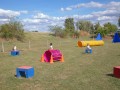 Jogis Hundeschule 044